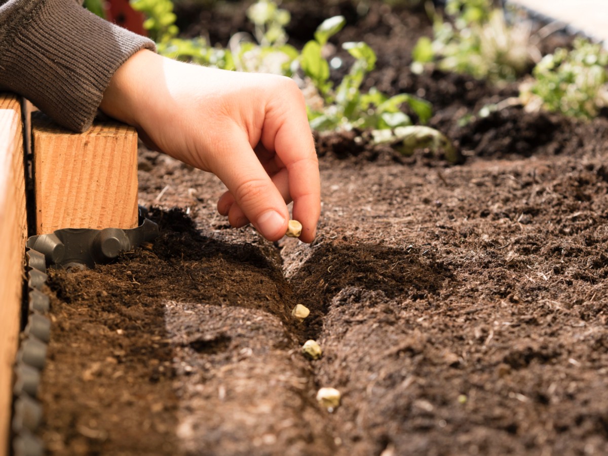 Vertical Farming in Urban Hawaiian Properties: A New Trend