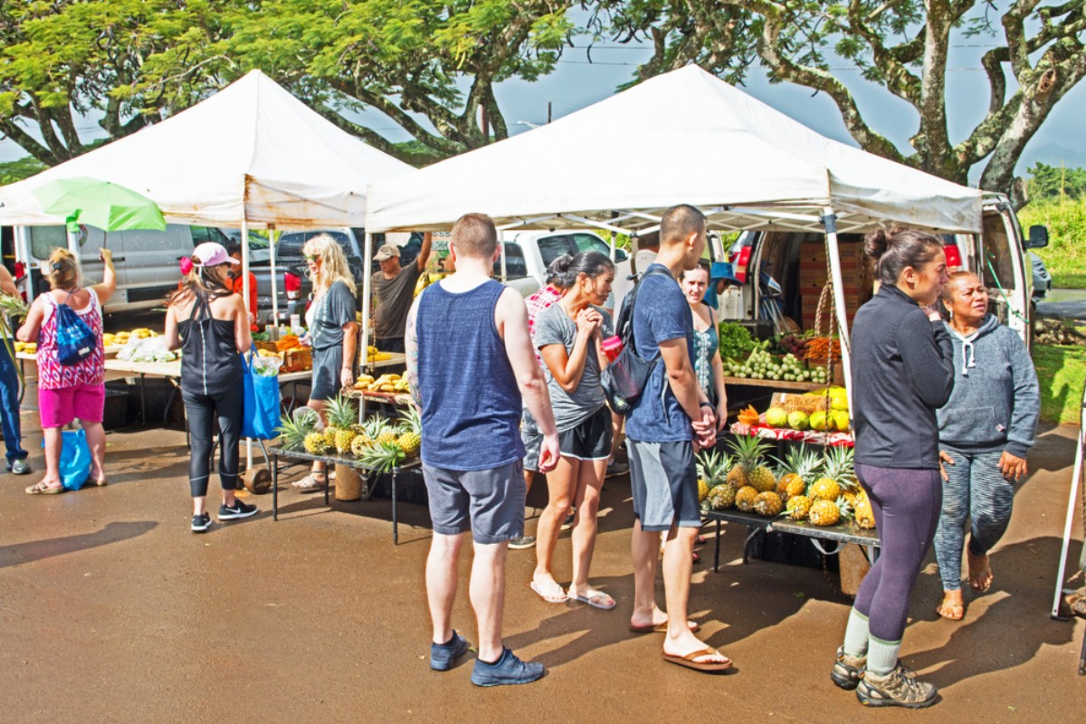 Vertical Farming in Urban Hawaiian Properties: A New Trend